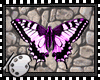 (*A) Butterflies III