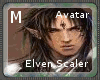 *Jah* Elven Male Scaler