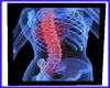 SM Spinal Image Framed