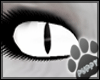 [Pup] Cat Eyes (Drv)