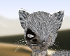desert fox ears