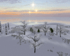 Winter Wedding