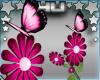 Pink Butterfly Flowers