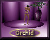 [my]Orchid Lady Dancer