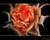 3D Rose