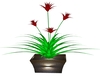 Red Flowers Plant v1