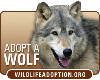 Adopt a Wolf Support
