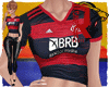🦁 Flamengo f
