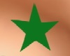 TD Green Star Tattoo