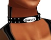 Miss Gavie black collar