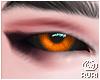 ▶ 2t: Orange/Purple