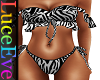 Zebra Bikini RL