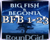 *R Big Fish & Begonia