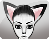 {s} White Fox Ears