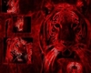 Red & Black Tiger Room
