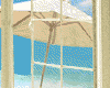 window~beach~animated