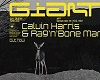 calvin-harris