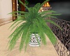 BEC potted palm tree