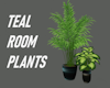 TEAL ROOM PLANTS