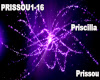 Priscilla - Prissou