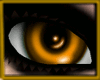 Autum Gold Eyes