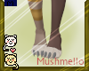 Kedi's Peets M