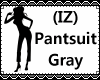 (IZ) Pantsuit Gray