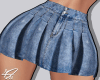 RXL Denim Skirt