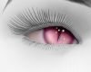 8! Cute Eyes5 ⚥