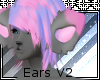 Starlight Ears V2