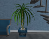 Livia Plant 2