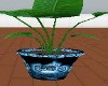 harley vase plant