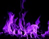 purple fire furry head