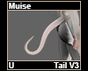 Muise Tail V3
