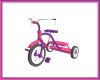 GIRL TRICYCLE