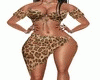Muse of leopard summer