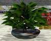 Marble Potted Plant