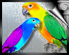 D3~Parrots Enh