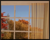 An Autumn Window ~