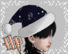 ⚡ Hats Harry Potter