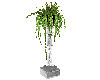 silver vase plant