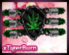 †TB† Weed Brcle R|F