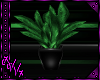 Envious Plant