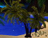 (V) Tropical Palm Tree