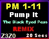 Pump It (REMIX)