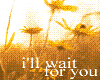 i'll wait for you