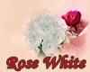 >>Rose White<<