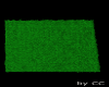 Lawn Grass
