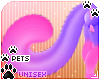 [Pets] Phir | tail v1