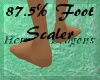 87.5% Foot Resizer